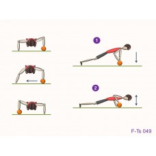 F-Ts 049 - Fuerza tren superior