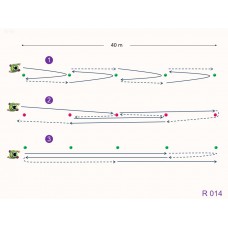 R014 - Ejercicio resistencia anaeróbica