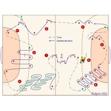 R-Bmn005 - Resistencia