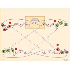 Fl037 - Floorball