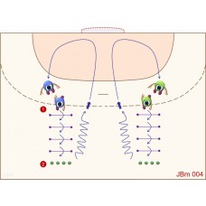 JBm004 - Juegos de balonmano