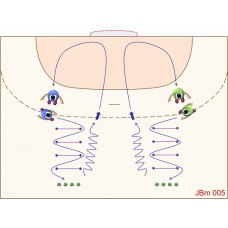 JBm005 - Juegos de balonmano