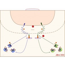 JBm033 - Juegos de balonmano