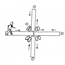 Correcaminos equilibrista